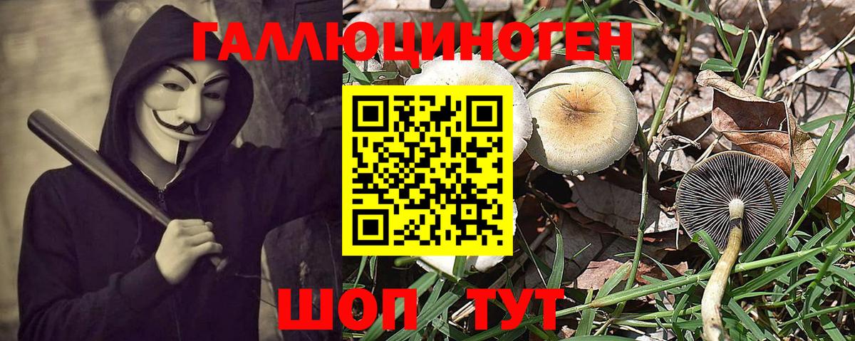 Галлюциногенные грибы Magic Shrooms Великий Новгород