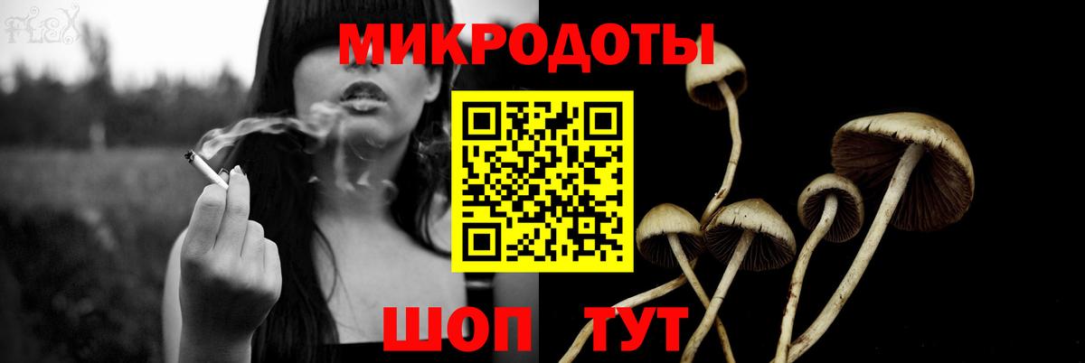 Галлюциногенные грибы Psilocybe  Вход с VPN  Великий Новгород 